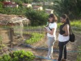 /album/comunidade-quilombola-onze-negras/sdc11806-jpg/
