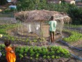 /album/comunidade-quilombola-onze-negras/sdc11811-jpg/